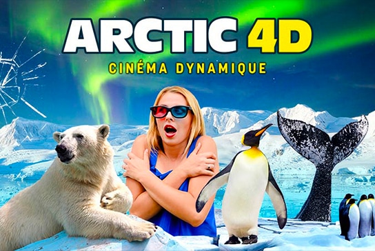 Arctic 4d