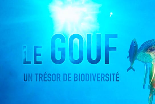 Le Gouf