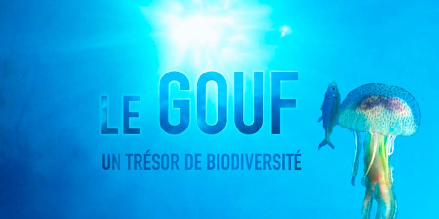 Le Gouf, un trésor de biodiversité